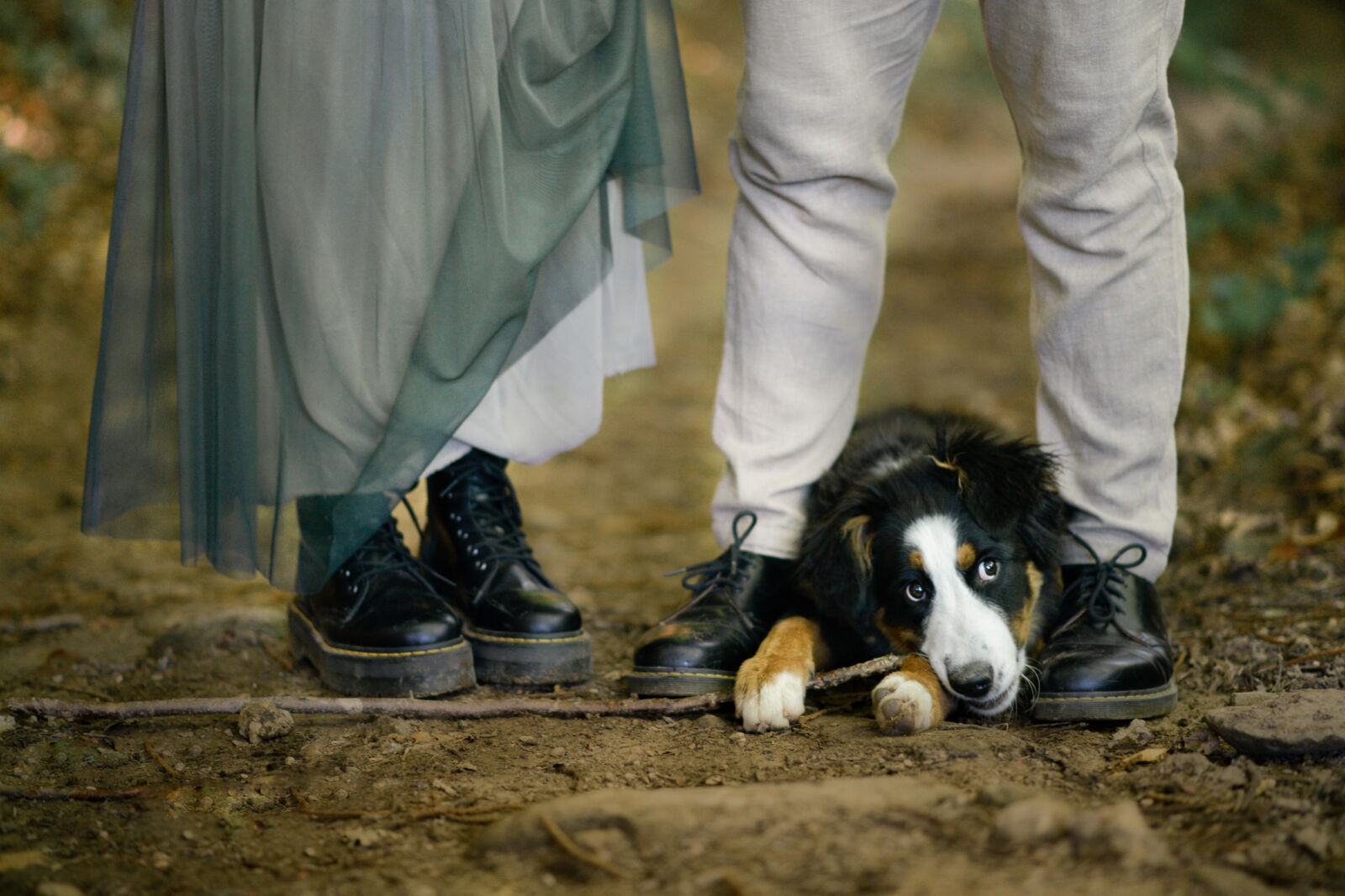 Dettaglio delle scarpe degli sposi con il cane di famiglia accucciato tra loro